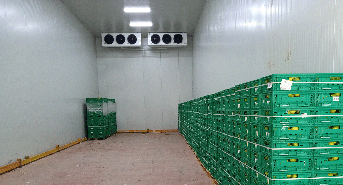 Narenciye Soğuk Hava Deposu - 3